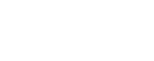Digital Search Group